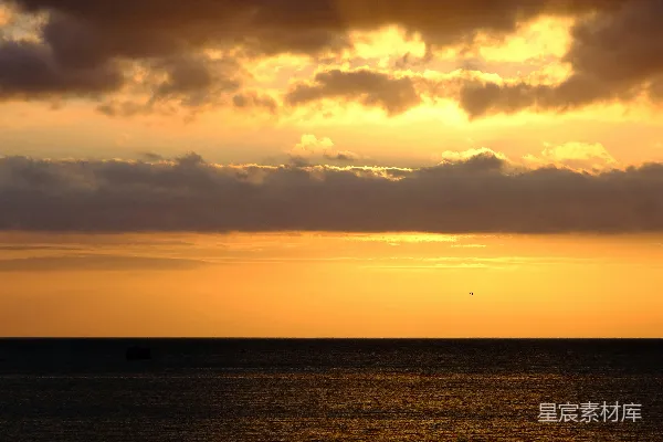 高清摄影 夕阳下海边站立的人的轮廓