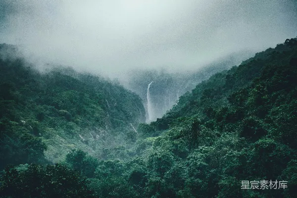 高清摄影 树木的风景摄影