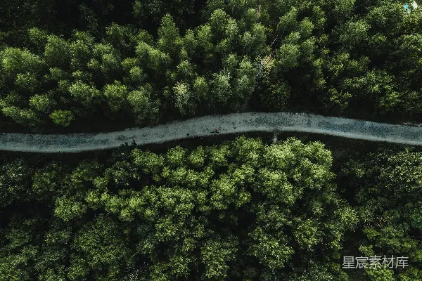 高清摄影 森林中一条路的空中俯瞰视图