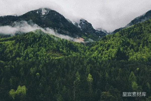 高清摄影 山间树木的空中俯视视角