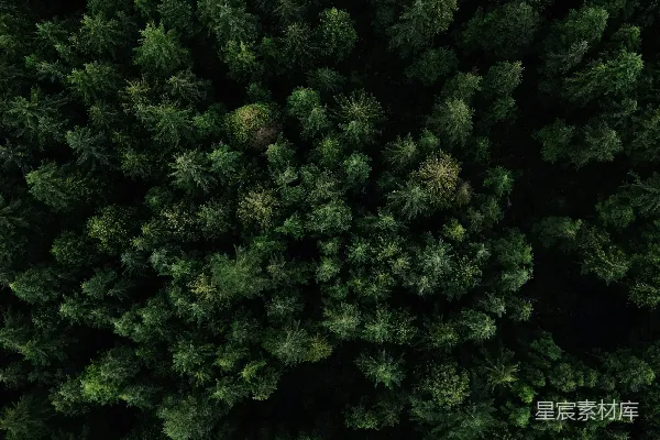高清摄影 一幅绿林的空中俯视图