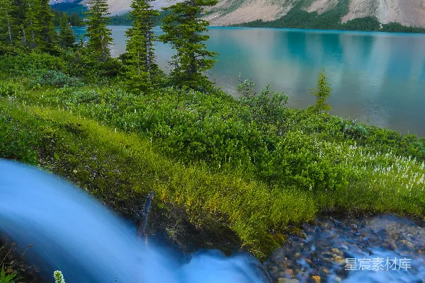 高清摄影 白天水中的草和山