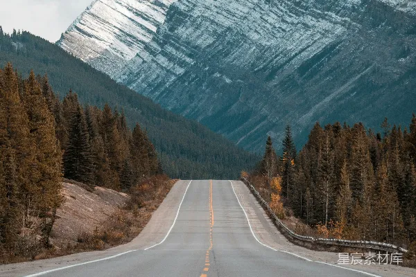 高清摄影 山间树木之间的灰色混凝土道路
