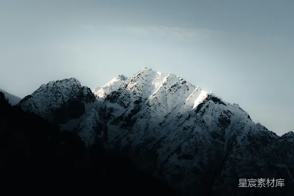 高清摄影 覆盖着白雪的山顶上有一只鸟在飞翔。