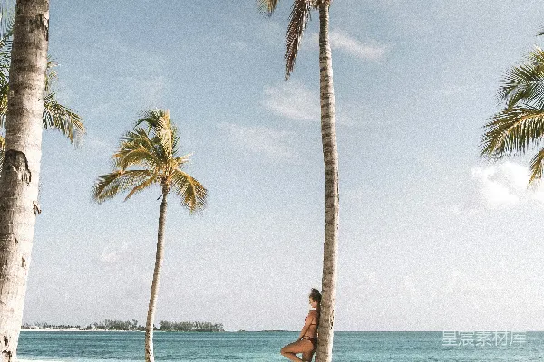 高清摄影 海滨旁的女人靠在树旁