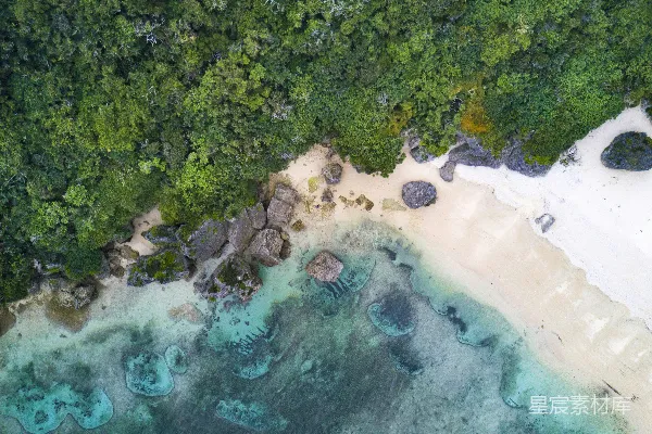 高清摄影 白天海景旁绿树的 aerial 拍摄