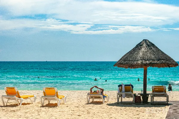高清摄影 棕色的遮阳伞在海滩上白天的场景