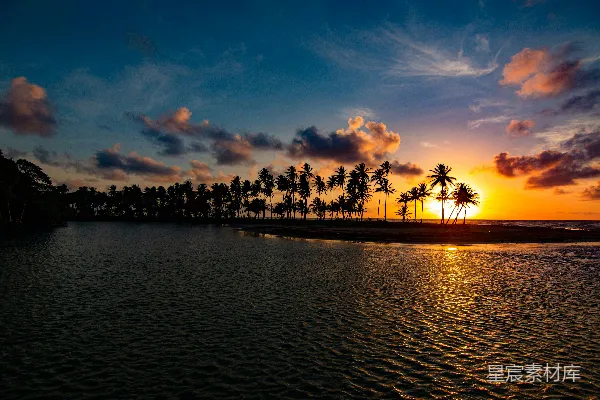 高清摄影 夕阳下树影近水的轮廓