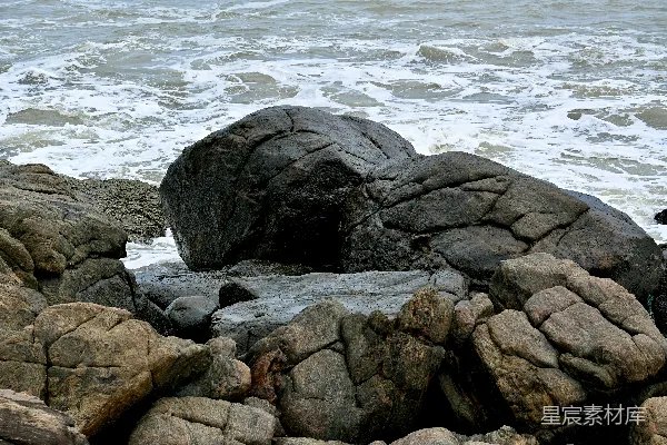 高清摄影 海边岩石旁的一只鸟儿