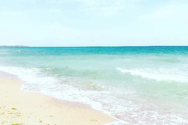高清摄影 海浪在白天拍击岸边