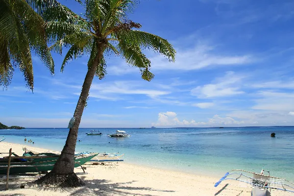 高清摄影 海滩上有棕榈树、船只和美丽的蓝天白云。