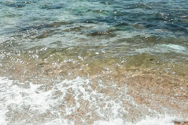 高清摄影 白天近水域的棕色沙粒
