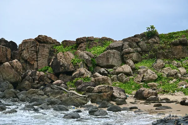 高清摄影 岸边有岩石和草地的海滩