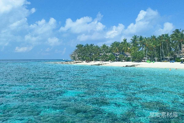 高清摄影 一棵棕榈树环绕的海滩和蓝色的海水
