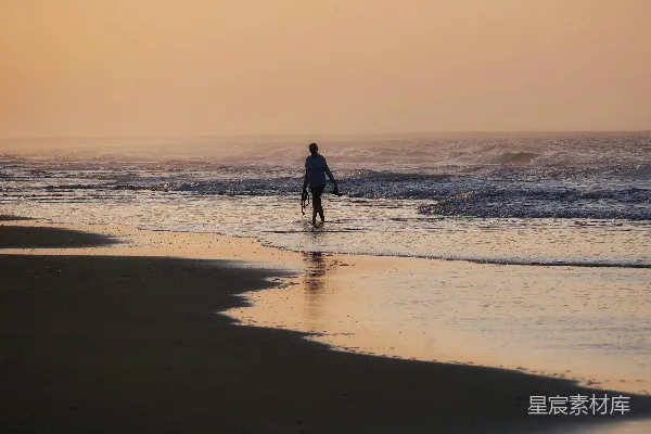 高清摄影 海滩上一个人骑着冲浪板的人。