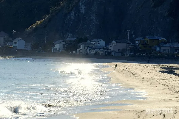 高清摄影 白天人们在海滩岸边行走