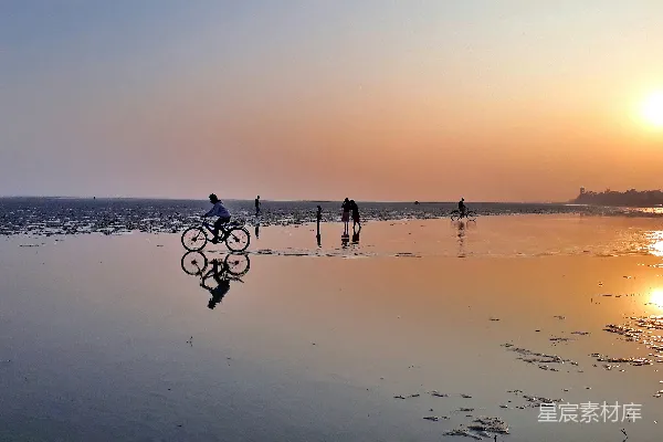高清摄影 海滩上一群人的景象