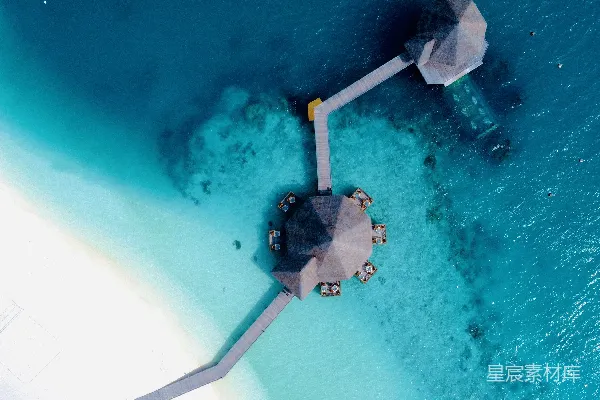高清摄影 白天近绿色树木处的黑白路灯柱
