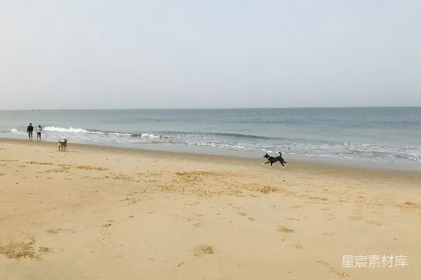 高清摄影 一群人在海滩上站立