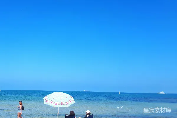 高清摄影 两位妇女在海边白天坐着。