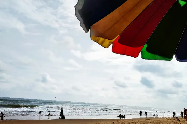 高清摄影 海滩上的彩色阳伞靠近海边