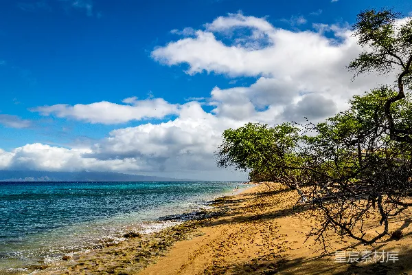 高清摄影 海边绿树旁的沙地近处，在蓝天白云下的白天景象中，天空中有蓝色和白色的云朵。
