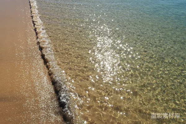 高清摄影 白天近水域的棕色沙粒