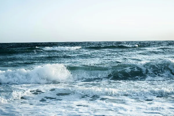 高清摄影 海滩上的波浪