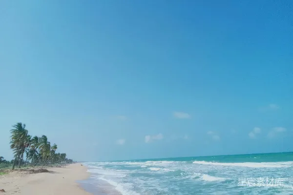高清摄影 沙滩上铺满细沙，棕榈树环绕，海景在背景之中。