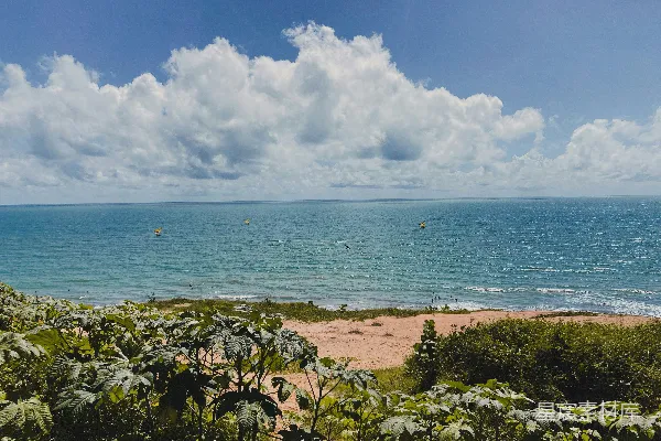高清摄影 山顶俯瞰的大海景色