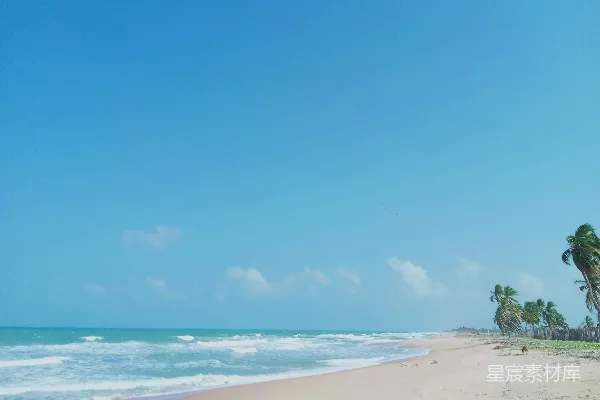 高清摄影 背景是沙滩上的细沙、棕榈树和海洋。