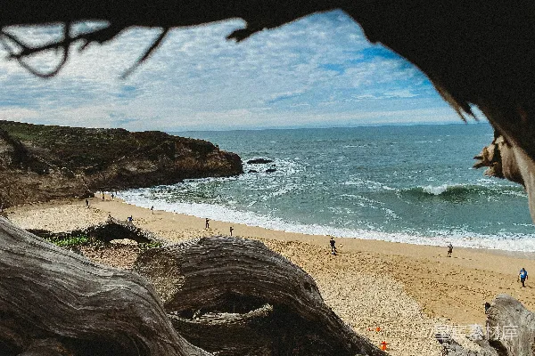 高清摄影 海滩上的人在白天