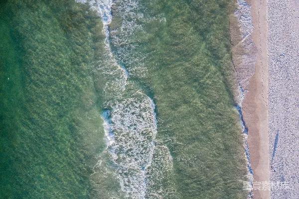 高清摄影 森林近海的鸟瞰摄影
