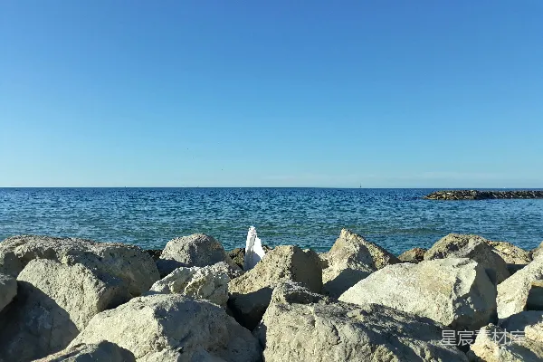 高清摄影 一只白鸟坐在一堆岩石顶部