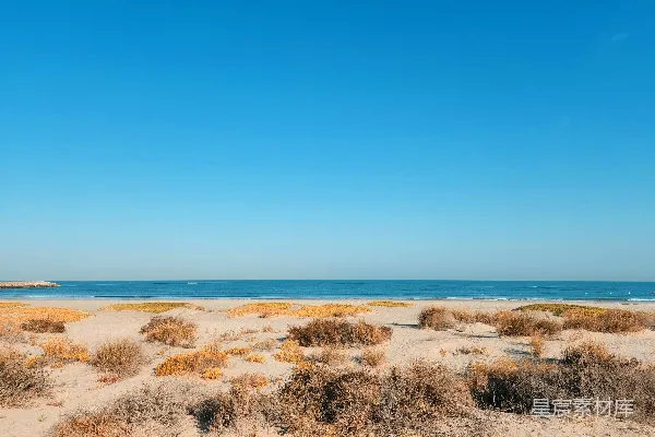 高清摄影 海边景色和一片水域的景象