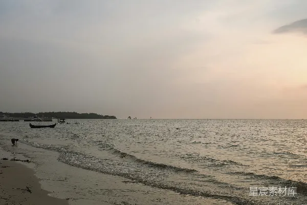 高清摄影 几艘停在水中的小船