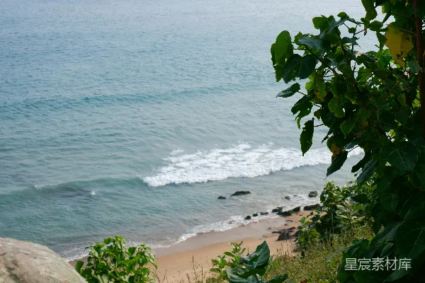 高清摄影 海浪拍打着岸边，绿树环绕。