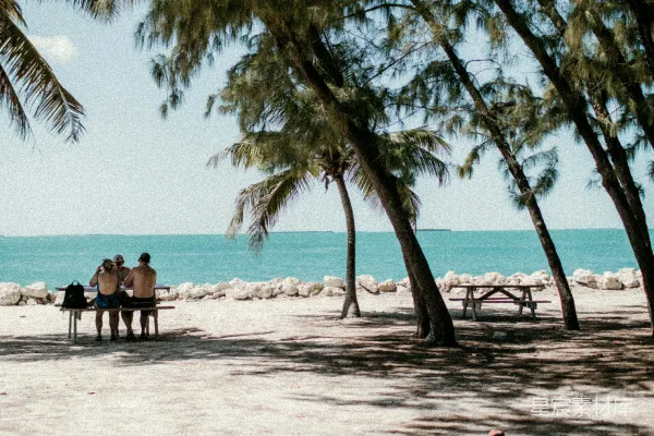 高清摄影 海滩上的人们在白天
