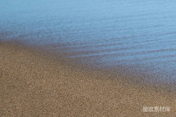 高清摄影 海滩上一只鸟站在海边