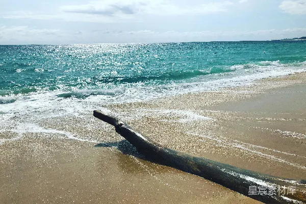 高清摄影 白天海滩上的黑色木棍