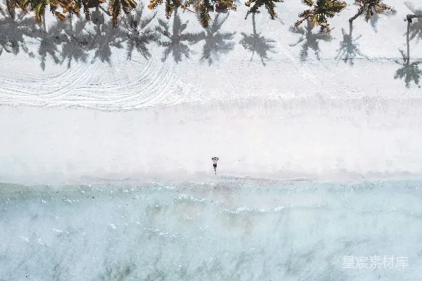 高清摄影 海滩上空的一幅棕榈树景观图