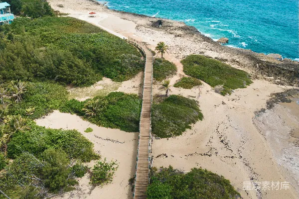 高清摄影 一条通往海滩的木制小径