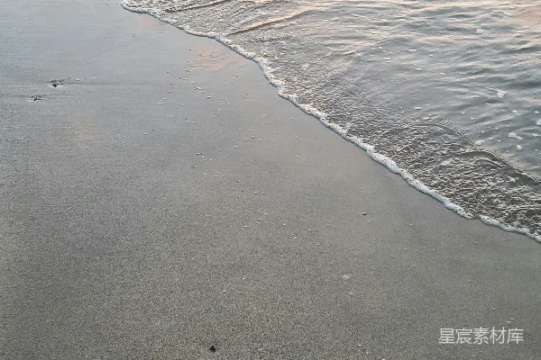 高清摄影 一只狗正在海滩上散步，靠近水面。