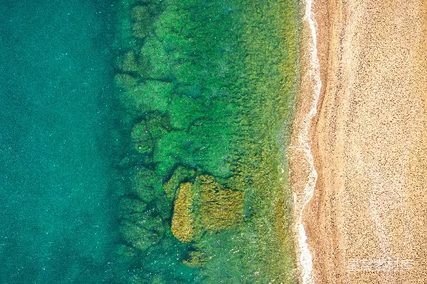 高清摄影 绿色和棕色土地的 aerial 视角