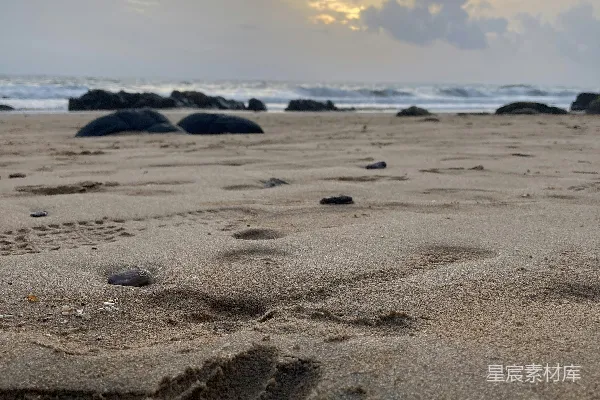 高清摄影 一块带石头和水的沙滩