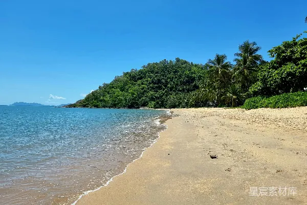 高清摄影 沙滩旁边是一片浓密的绿林。