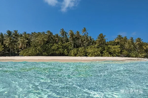 高清摄影 背景是棕榈树的热带岛屿