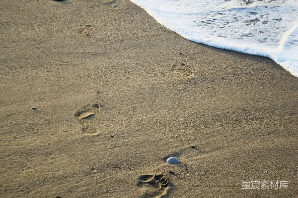 高清摄影 海边步行的人靠近大海