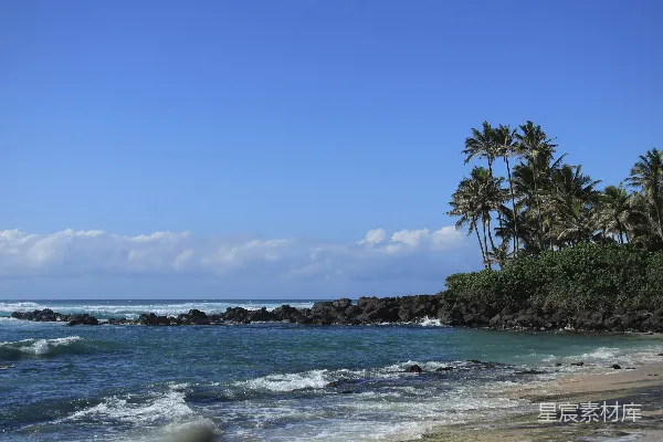 高清摄影 沙白的海滩上有棕榈树和海浪。
