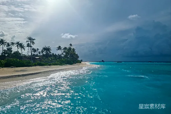 高清摄影 一棵棕榈树环绕的海滩和蓝色的海水
